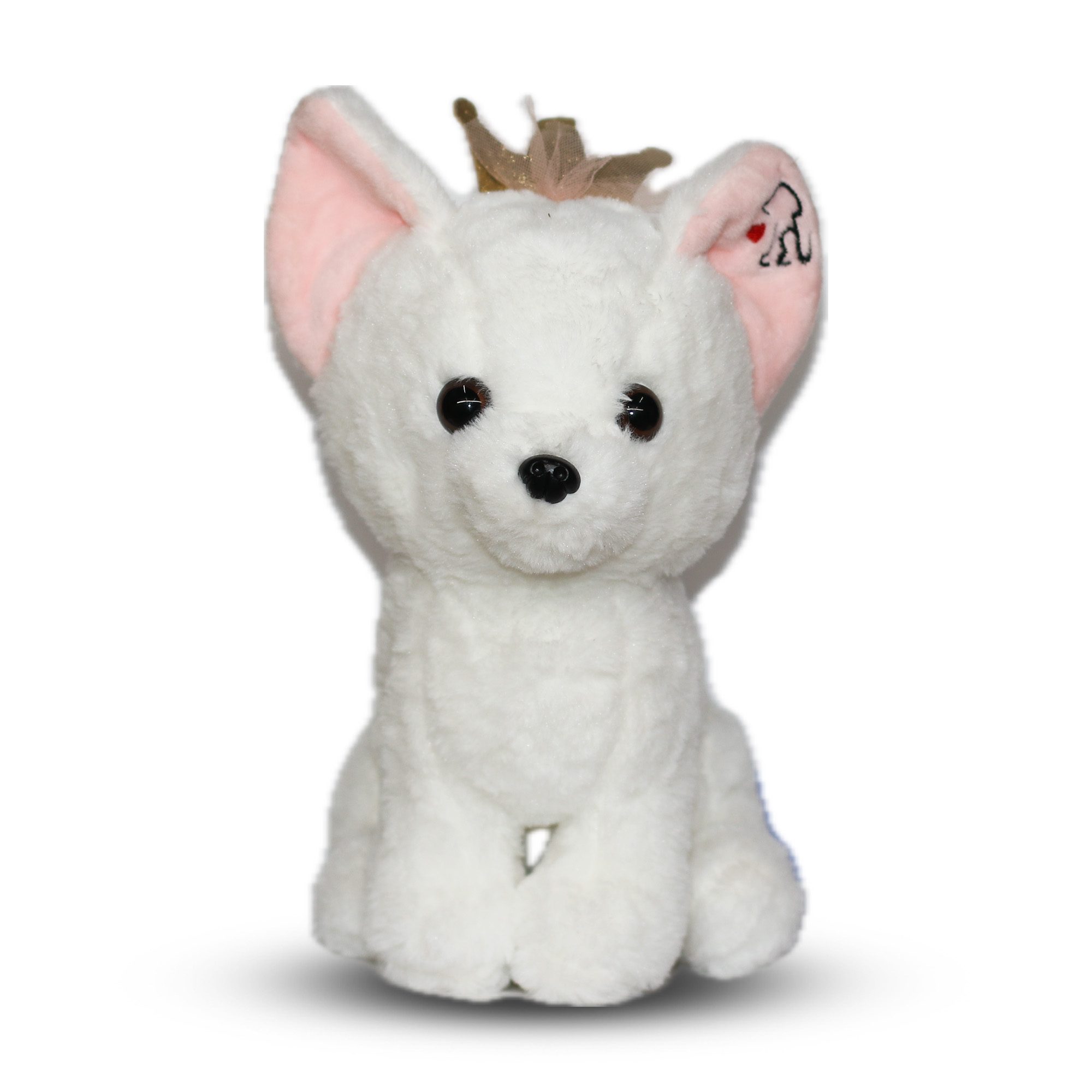 Cute Dog